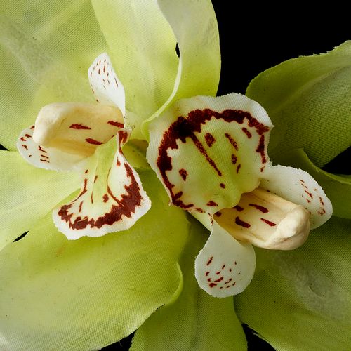 Realistic Looking Bridal Orchid Flower Hair Clip Clip 400 Mint Green 51